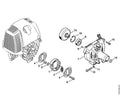STIHL Clutch drum (OEM 4180-160-2902)