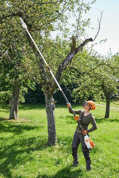 STIHL HTA 135 cordless pruner, 30cm/12", 71PM3 (OEM LA01-200-0002)