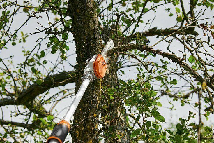 STIHL HTA 135 cordless pruner, 30cm/12", 71PM3 (OEM LA01-200-0002)